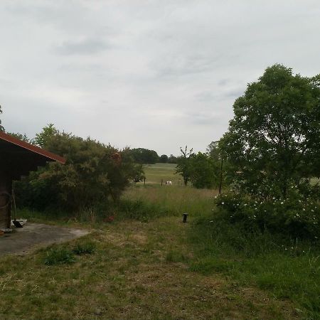 Langendorf  New Home المظهر الخارجي الصورة