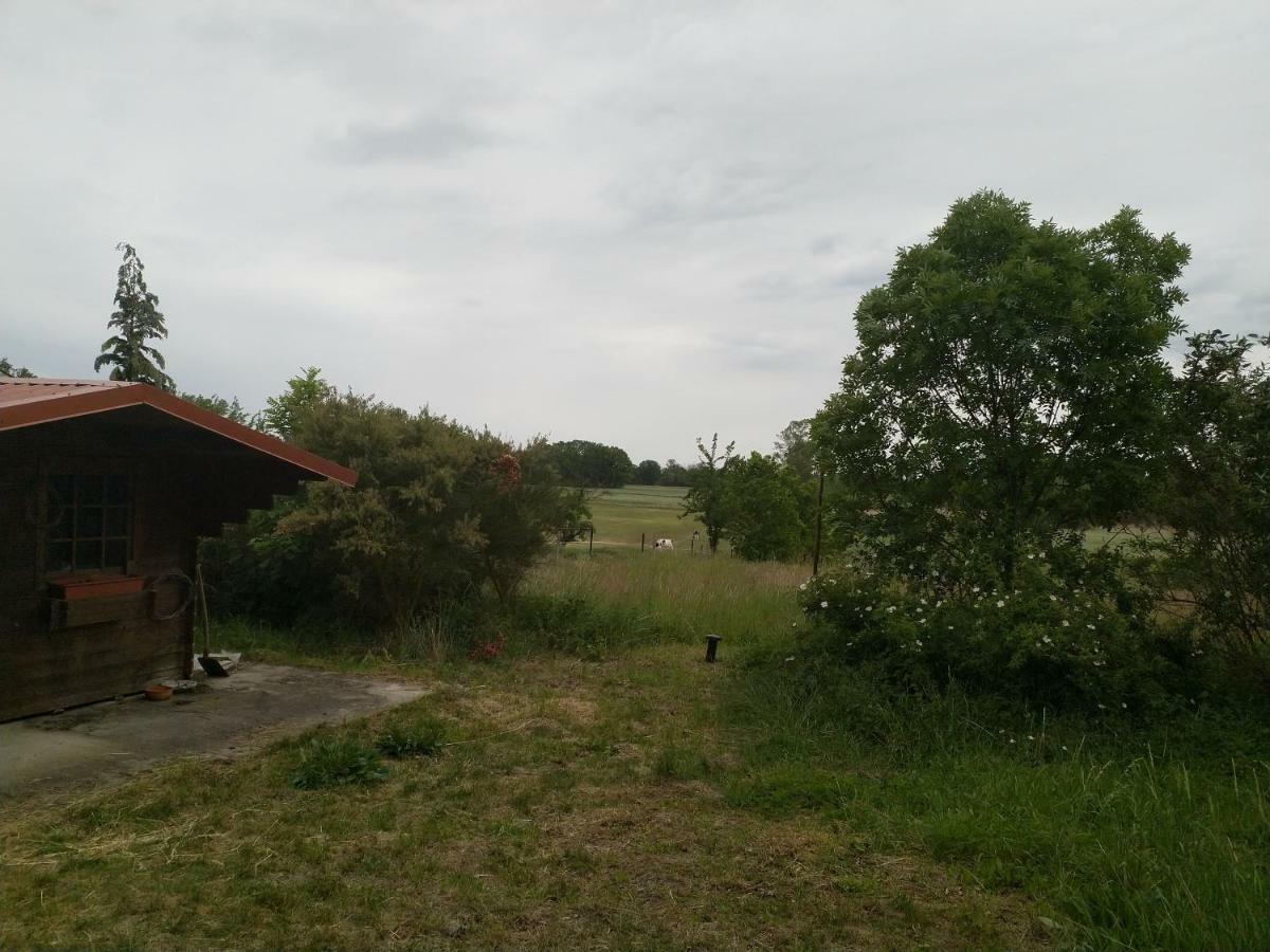 Langendorf  New Home المظهر الخارجي الصورة